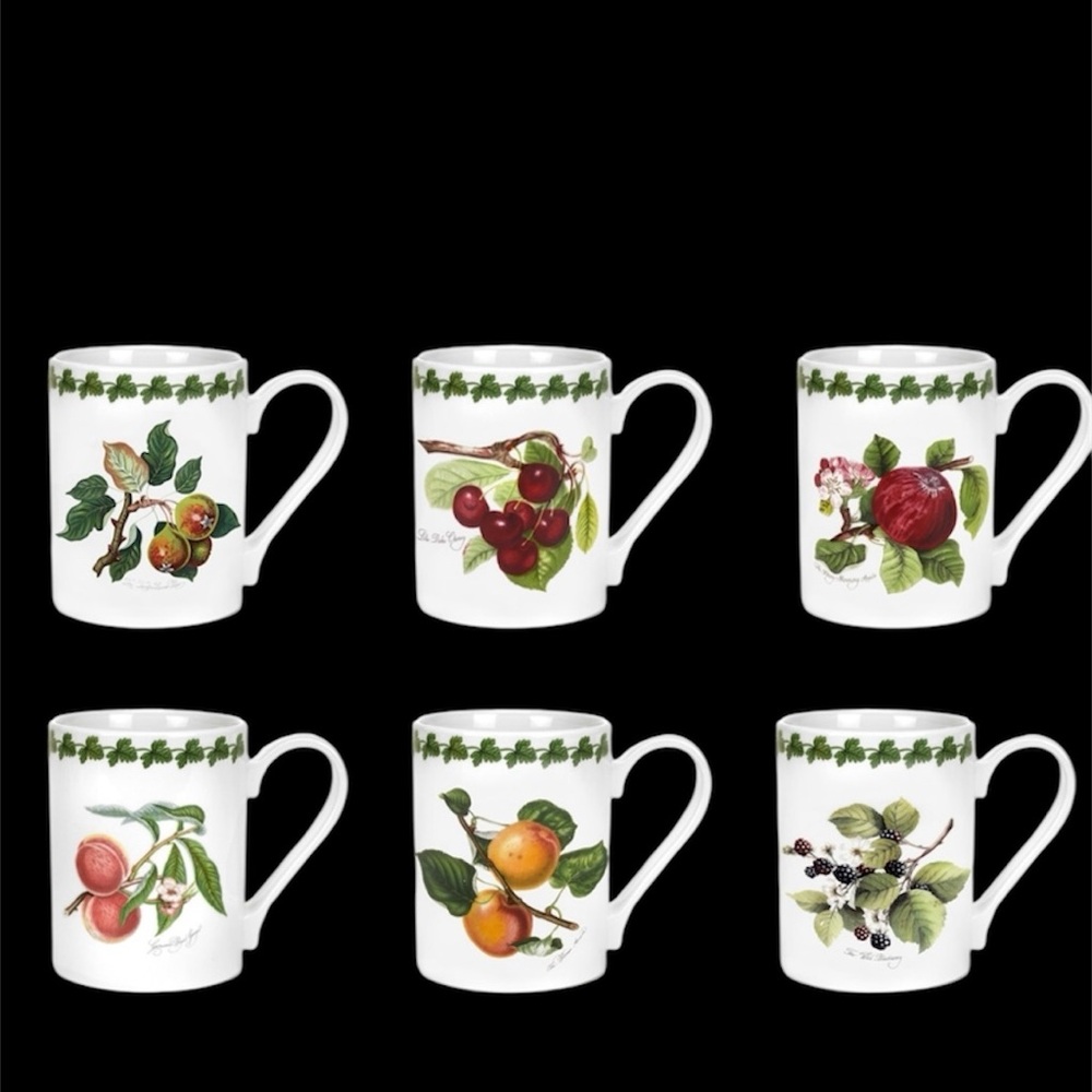 Portmeirion Botanical Fruit Mug Collection -BNIB set of 6 * SOLD OUT *